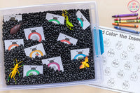 Insect Theme Math and Literacy Printables for Pre-K and Kindergarten